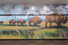 Wide indoor mural showing bison walking through tall prairie grass beneath a dramatic cloudy sky, with a horizontal timeline and labeled markers running across the upper middle of the scene.