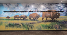 Wide indoor mural showing bison walking through tall prairie grass beneath a dramatic cloudy sky, with a horizontal timeline and labeled markers running across the upper middle of the scene.